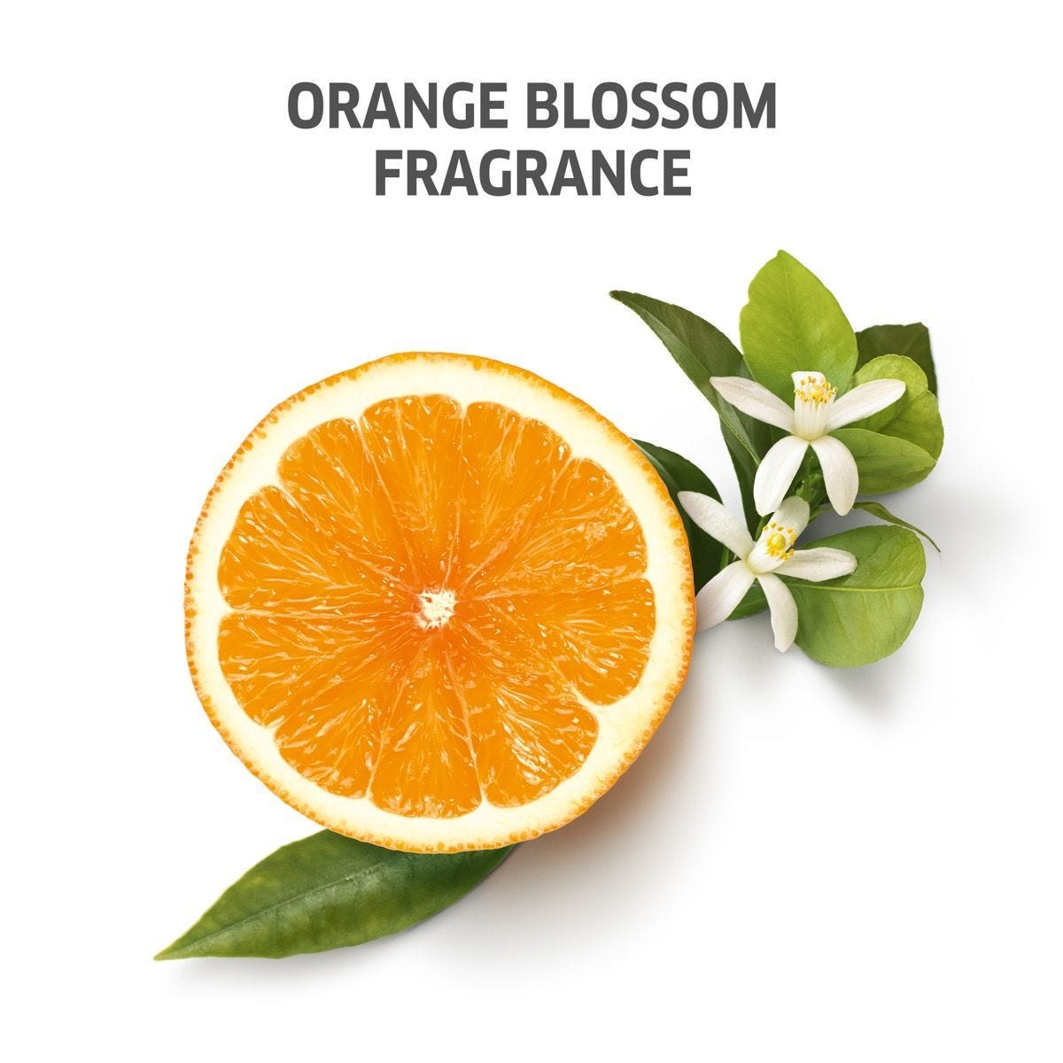 INVIGO Sun Conditioner 200ml