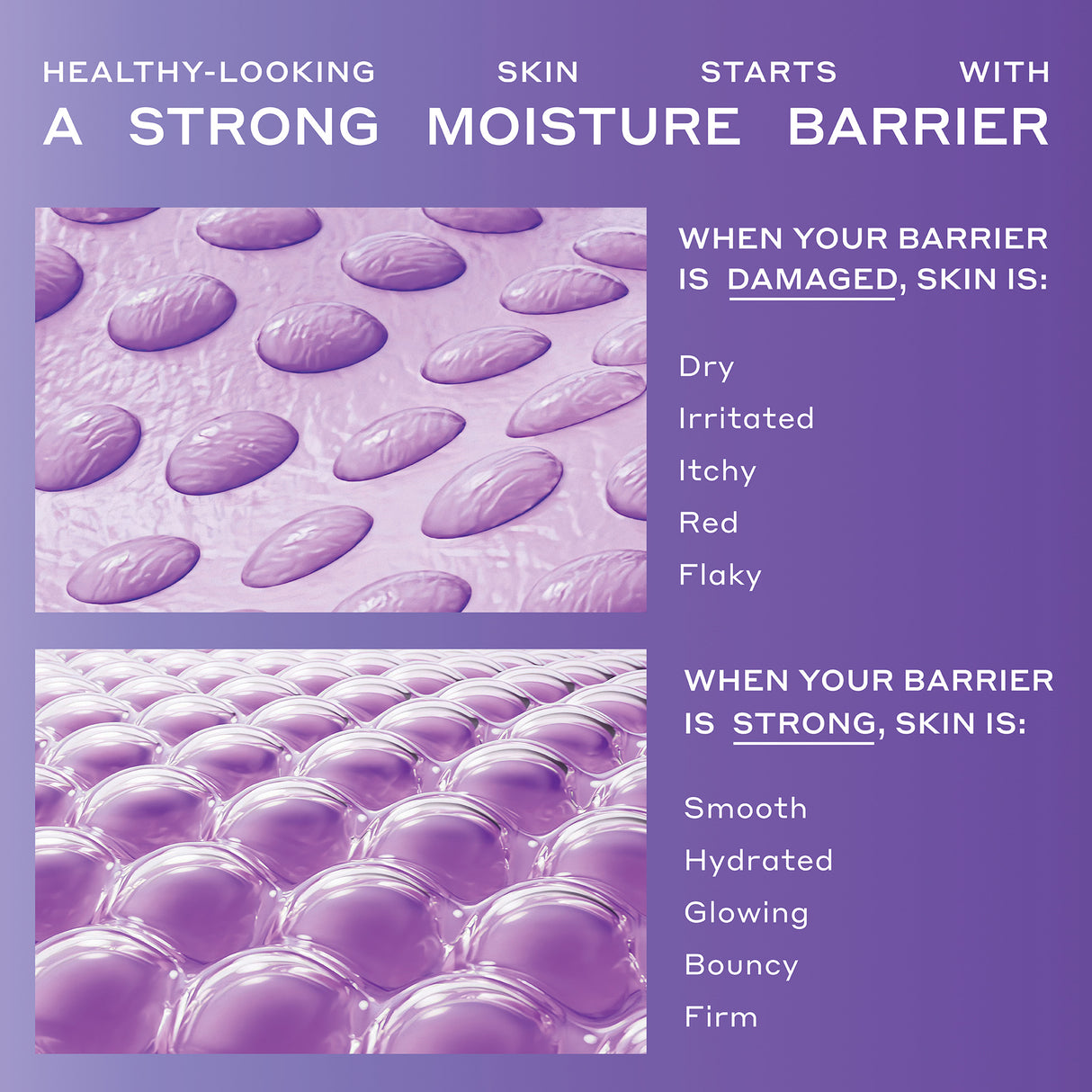 Strength Trainer Peptide Boost Moisturizer