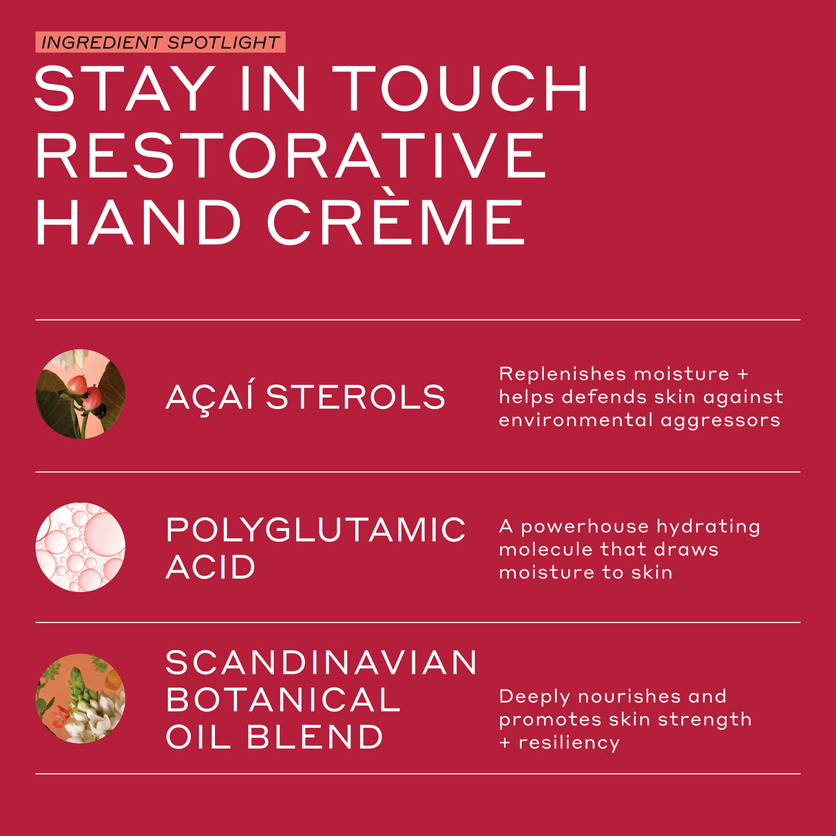 Stay In Touch Restorative Hand Cream