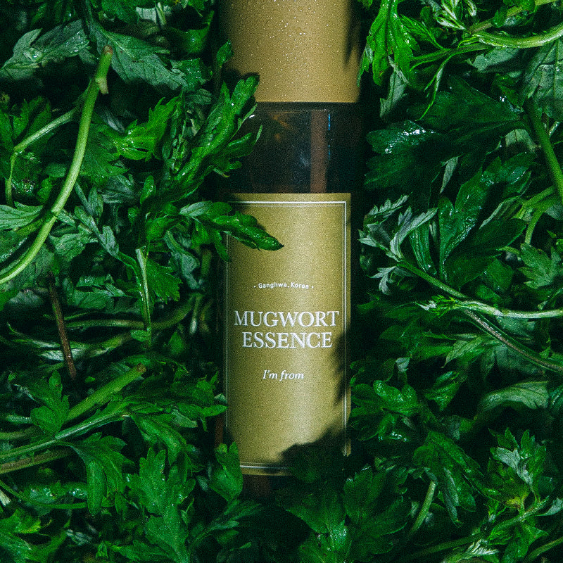 Mugwort Essence 160ml